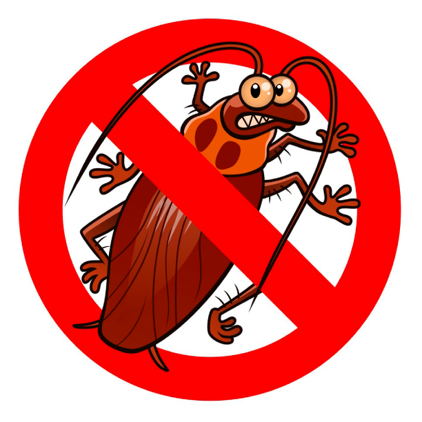 orkin pest control near me
